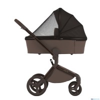 Детская коляска 2 в 1 Anex Flo 2025