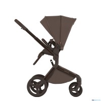 Детская коляска 2 в 1 Anex Flo 2025