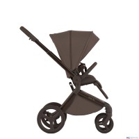 Детская коляска 2 в 1 Anex Flo 2025