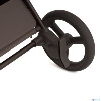 Детская коляска 2 в 1 Anex Flo 2025