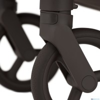 Детская коляска 2 в 1 Anex Flo 2025