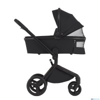 Детская коляска 2 в 1 Anex Flo 2025