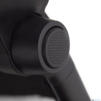 Детская коляска 2 в 1 Anex Flo 2025