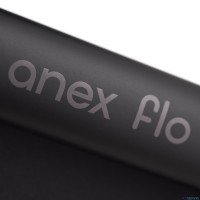Детская коляска 2 в 1 Anex Flo 2025