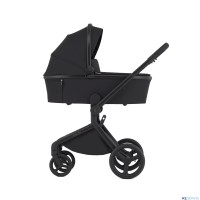 Детская коляска 2 в 1 Anex Flo 2025