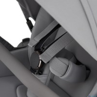 Детская коляска 2 в 1 Anex Flo 2025