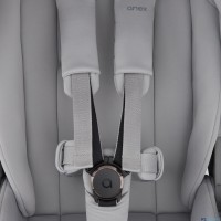 Детская коляска 2 в 1 Anex Flo 2025