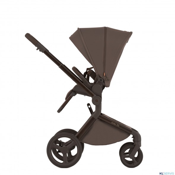 Детская коляска 2 в 1 Anex Flo 2025