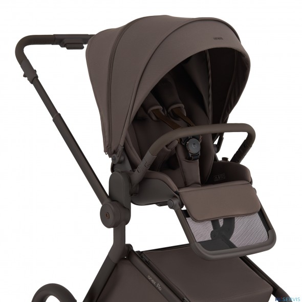 Детская коляска 2 в 1 Anex Flo 2025