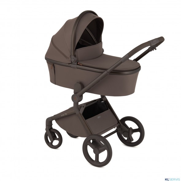 Детская коляска 2 в 1 Anex Flo 2025