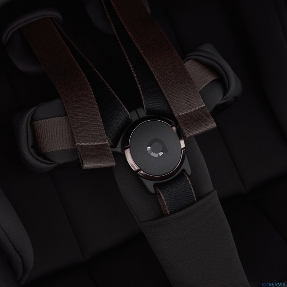 Детская коляска 2 в 1 Anex Flo 2025