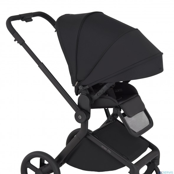 Детская коляска 2 в 1 Anex Flo 2025