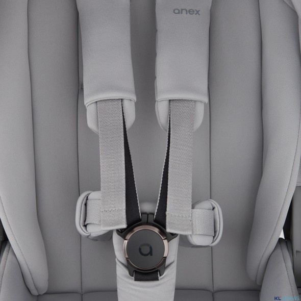 Детская коляска 2 в 1 Anex Flo 2025