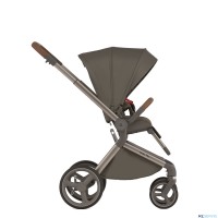 Коляска 2 в 1 Anex Flo Special Edition, #1 Cesar