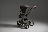 Коляска 2 в 1 Anex Flo Special Edition, #1 Cesar