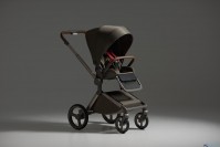 Коляска 2 в 1 Anex Flo Special Edition, #1 Cesar