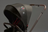 Коляска 2 в 1 Anex Flo Special Edition, #1 Cesar