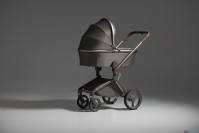 Коляска 2 в 1 Anex Flo Special Edition, #1 Cesar