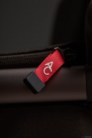 Коляска 2 в 1 Anex Flo Special Edition, #1 Cesar