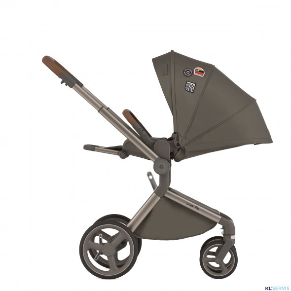 Коляска 2 в 1 Anex Flo Special Edition, #1 Cesar