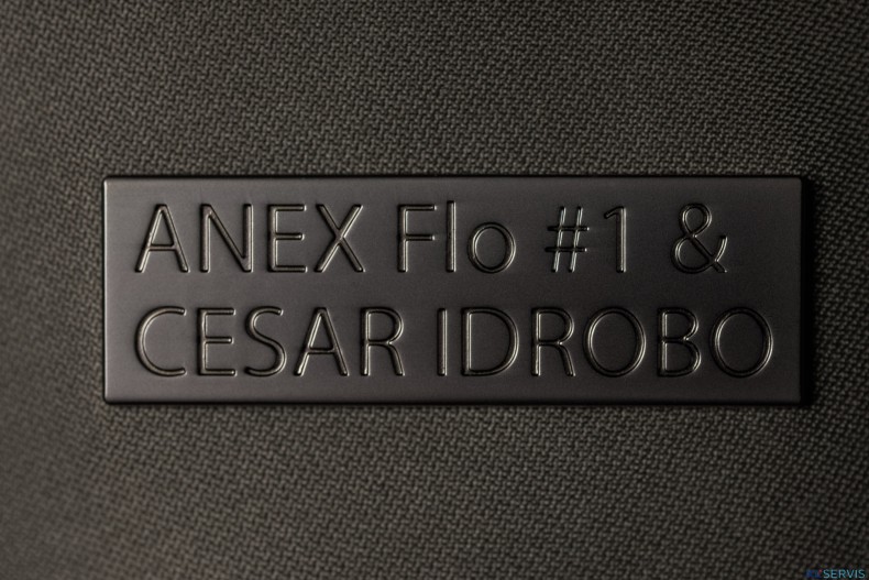 Коляска 2 в 1 Anex Flo Special Edition, #1 Cesar