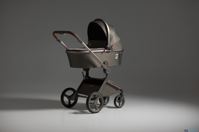 Коляска 2 в 1 Anex Flo Special Edition, #1 Cesar