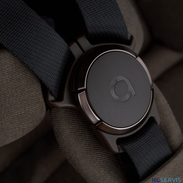 Коляска 2 в 1 Anex iQ Premium 2025