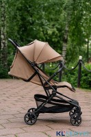 Прогулочная коляска CARRELLO Evo CRL-5533
