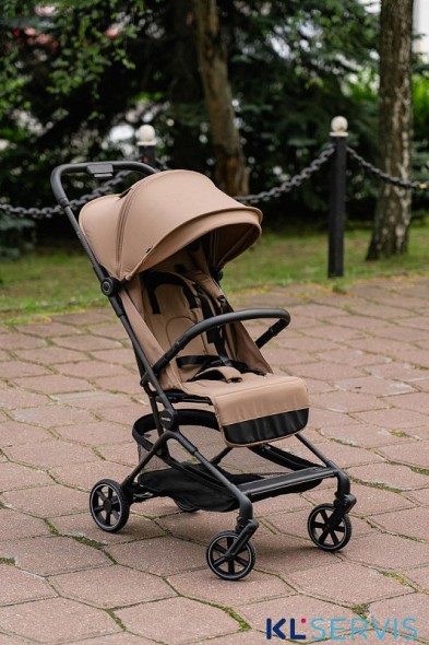 Прогулочная коляска CARRELLO Evo CRL-5533