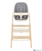 Стульчик для кормления Carrello Ergo 4в1 CRL-16701