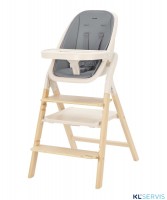 Стульчик для кормления Carrello Ergo 4в1 CRL-16701