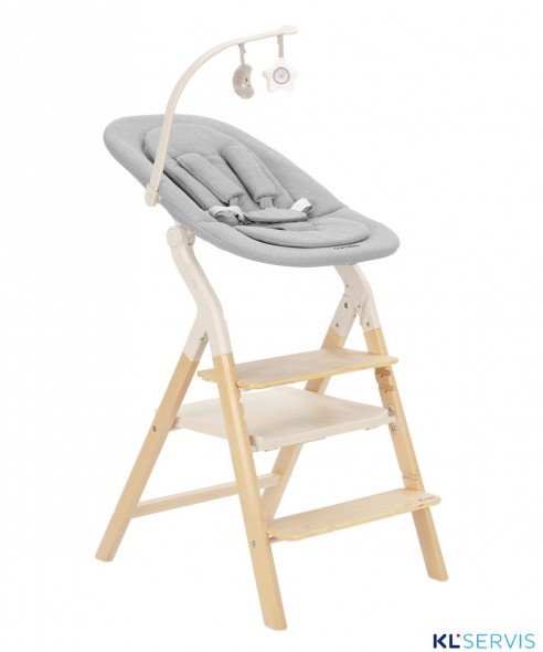 Стульчик для кормления Carrello Ergo 4в1 CRL-16701