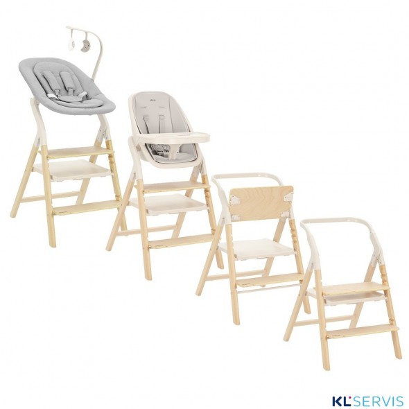 Стульчик для кормления Carrello Ergo 4в1 CRL-16701