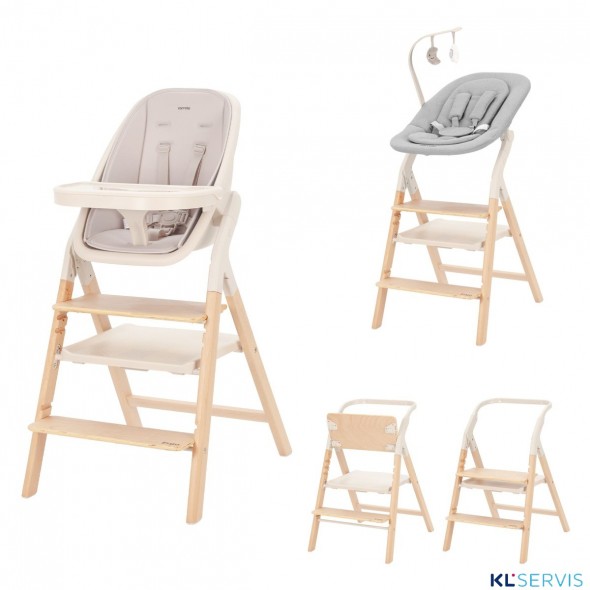 Стульчик для кормления Carrello Ergo 4в1 CRL-16701