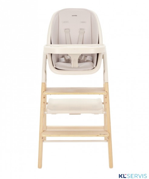 Стульчик для кормления Carrello Ergo 4в1 CRL-16701