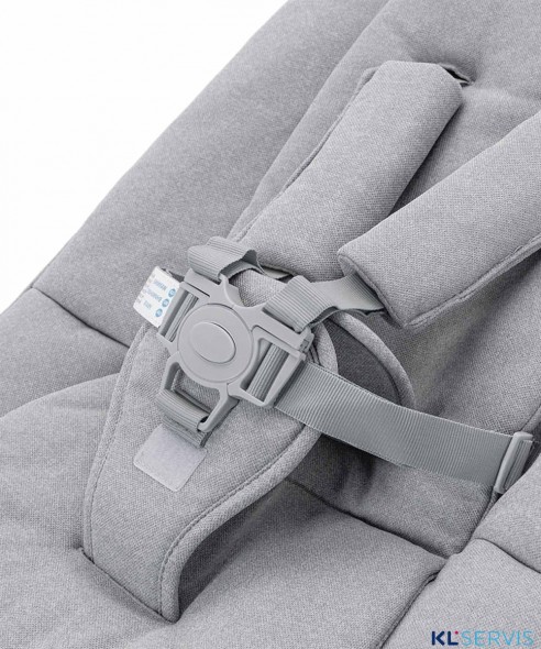 Стульчик для кормления Carrello Ergo 4в1 CRL-16701