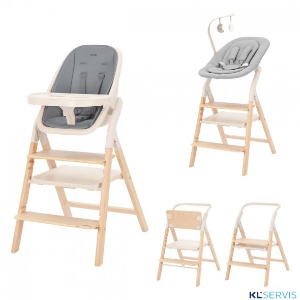 Стульчик для кормления Carrello Ergo 4в1 CRL-16701