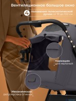 Прогулочная коляска SBL Elegante SM