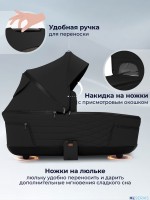 Коляска 3в1 SBL Elegante Therma