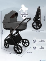 Коляска 3в1 SBL Elegante Therma