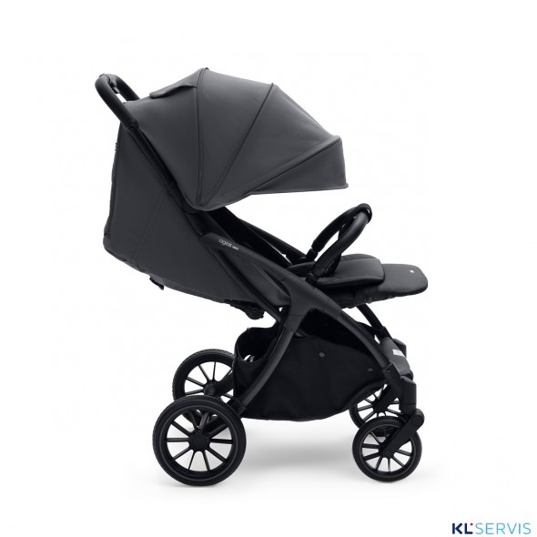 Коляска прогулочная Agex Mini All Road