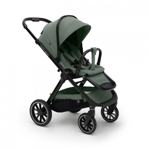 Коляска 2 в 1 Agex Prima Pro