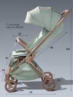 Коляска прогулочная Amarobaby Jaunt