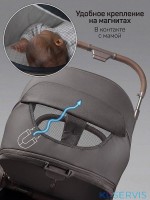 Коляска детская из экокожи 2в1 Amarobaby Motus Premium Ecco Exclusive