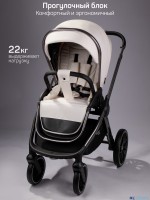 Коляска 2 в 1 AmaroBaby Motus Premium Ecco