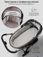 Коляска 2 в 1 AmaroBaby Motus Premium Ecco