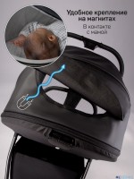 Коляска 2 в 1 AmaroBaby Motus Premium Ecco