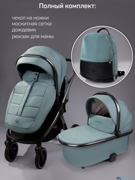 Коляска 2 в 1 AmaroBaby Motus Premium Ecco