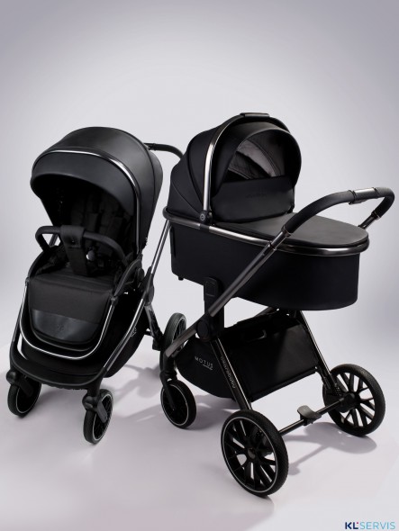 Коляска 2 в 1 AmaroBaby Motus Premium Ecco