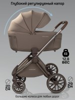 Коляска детская 2 в 1 с термолюлькой Amarobaby Phenom
